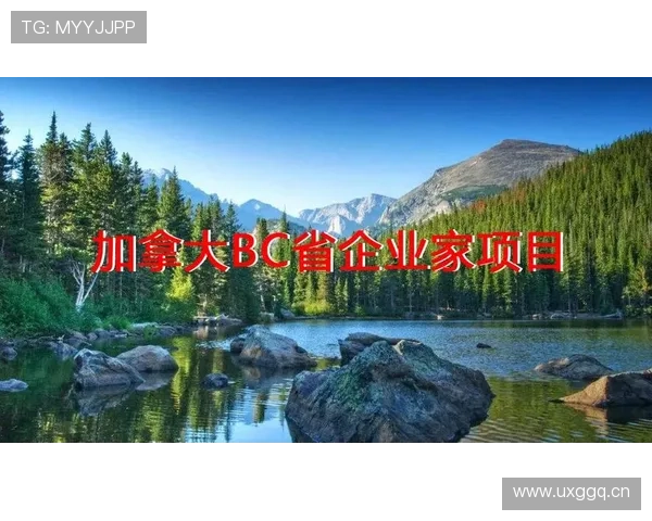 加拿大企业家移民政策解析:如何通过投资与创业实现移民梦 加拿大企业家移民政策解析:如何通过投资与创业实现移民梦